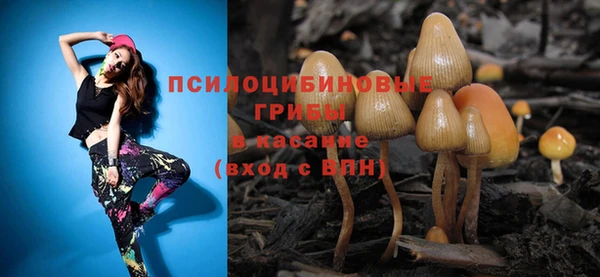 МДМА Алексеевка