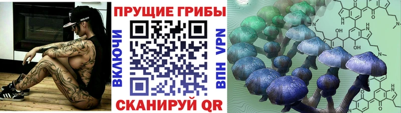 Галлюциногенные грибы MAGIC MUSHROOMS  Краснозаводск 