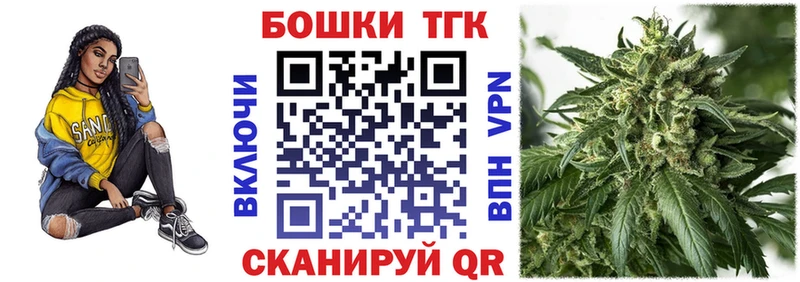 Бошки Шишки SATIVA & INDICA  как найти наркотики  MEGA вход  Краснозаводск 